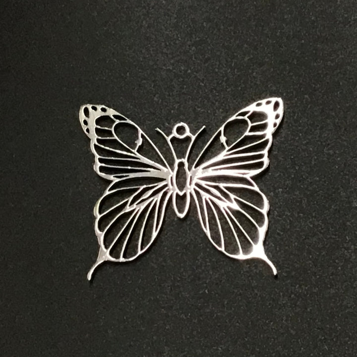 揚羽蝶(アゲハチョウ)