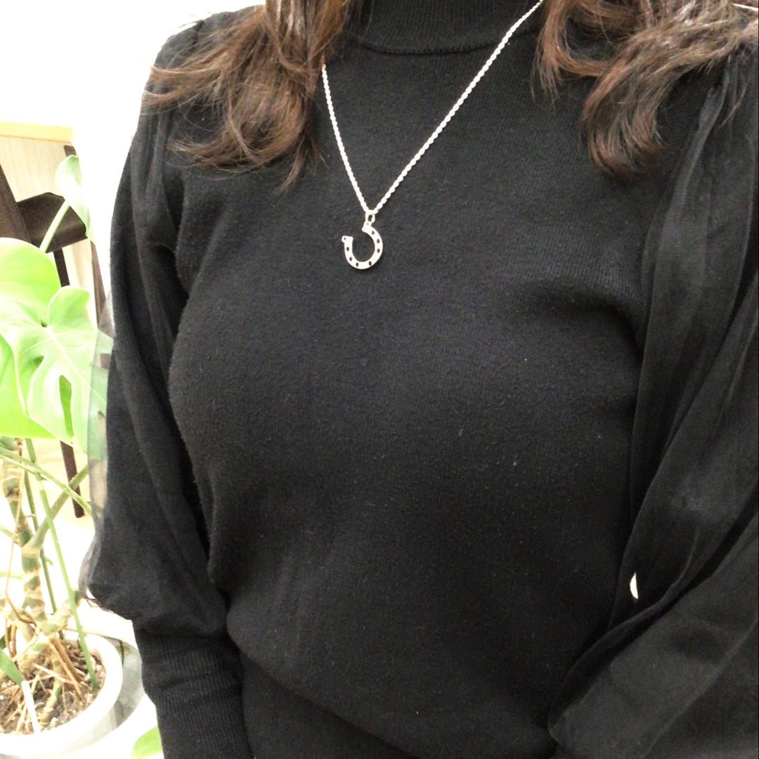 Petit Horseshoe（プティ・ホースシュー）