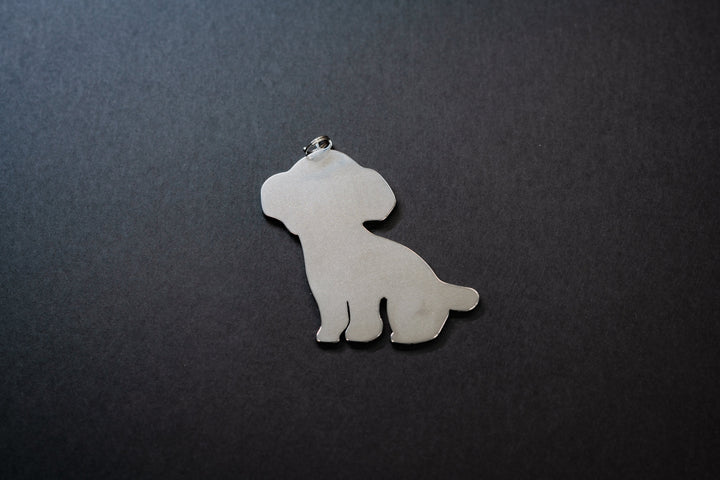 犬（トイプードル）